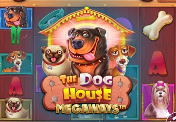 NOVOMATIC - игровой автомат онлайн от Various с RTP 95.1%